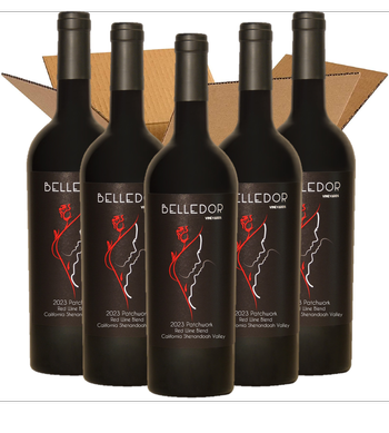 2023 Patchwork Red Case