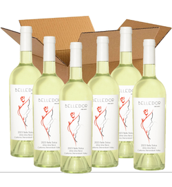 2023 Belle Dolce Case