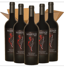 2023 Patchwork Red Case